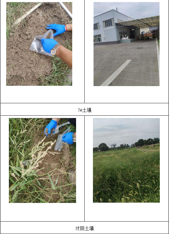&#38886;&#24503;&#32593;&#31449;&#45;&#40;&#20013;&#22269;&#41;&#26377;&#38480;&#36131;&#20219;&#38886;&#24503;&#32593;&#31449;